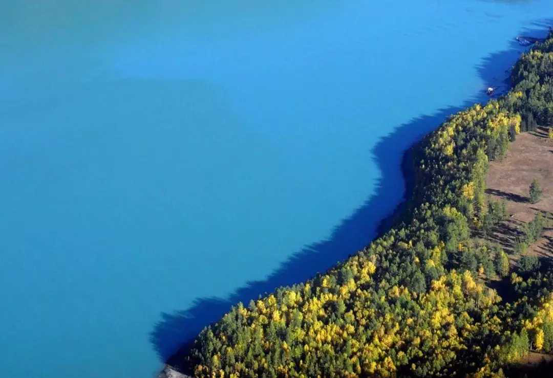 ��ʵ��ȴ���ױ����Եķ����Ӱ���� ���˽�����?