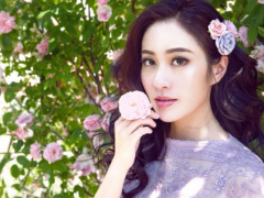 Ҷ��廪������