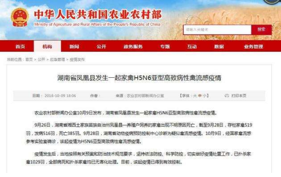 ���Ϸ����������ȷ�� ����ϴ� ������õ�����