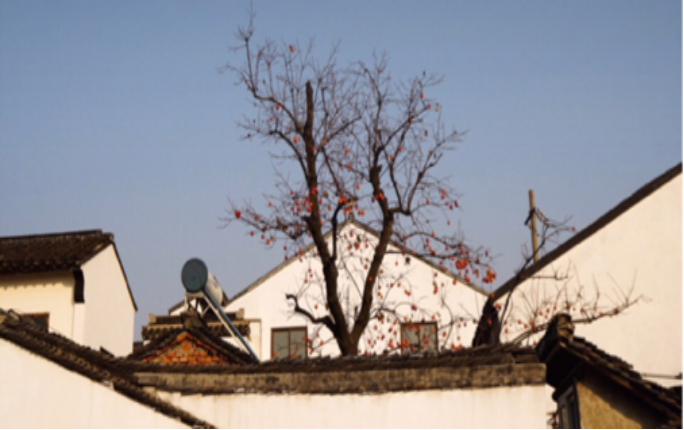 你不可错过的旅游胜地 人间天堂苏州旅游攻略