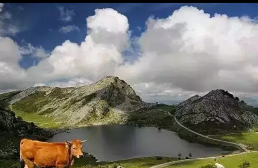 ��Ӱ���ɷ��� ǿ�����Ӱ�������������Ӱʦ