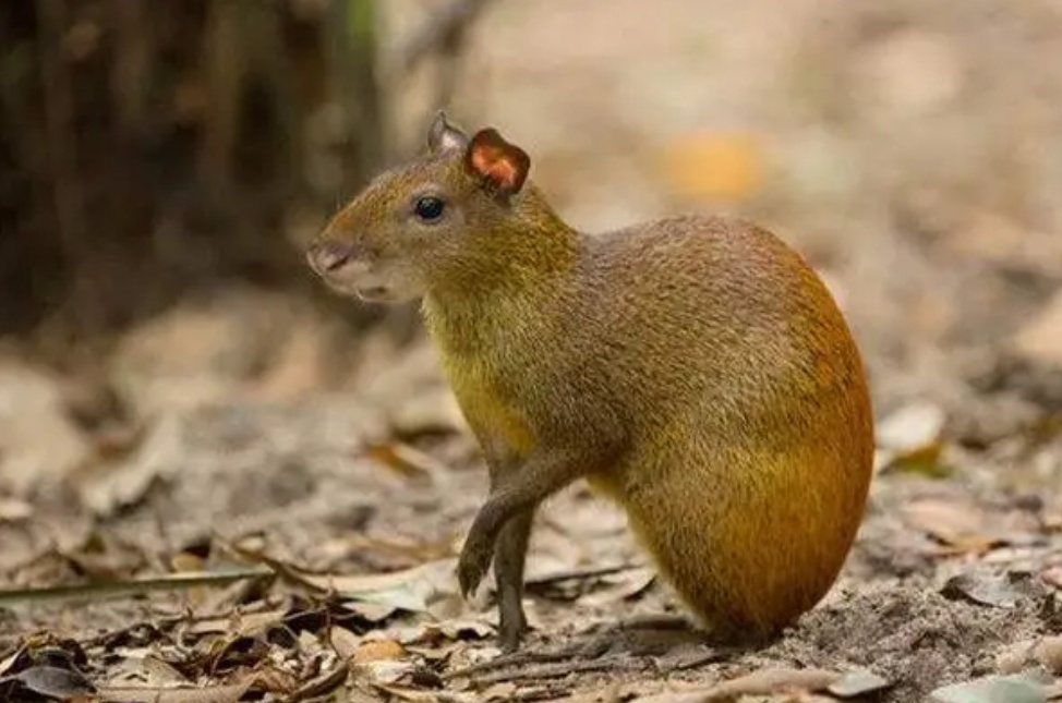 ��ʵ�õ���Ӱ���� �����������ѧ����һ��