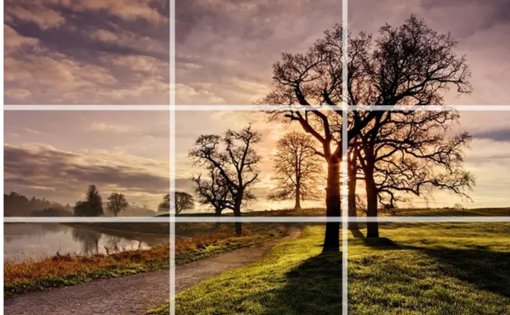 ����ѧ����Ӱ���ɷ��� ��������ռ������ͼ�Ӱ