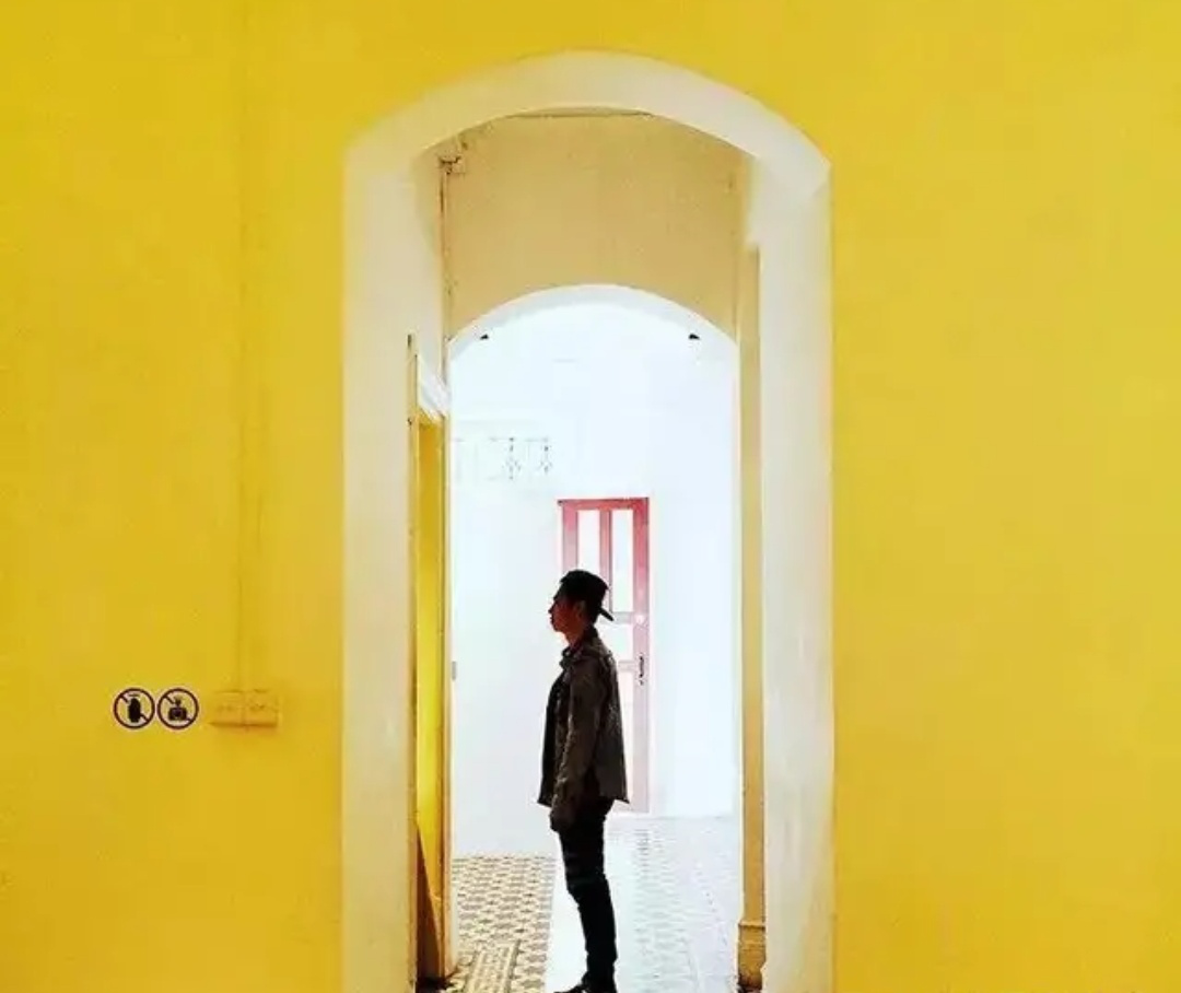 �ֻ���Ӱ���ɷ��� ���ֻ��ĳ�����Ƭ������ ��ѧ���ϵ��