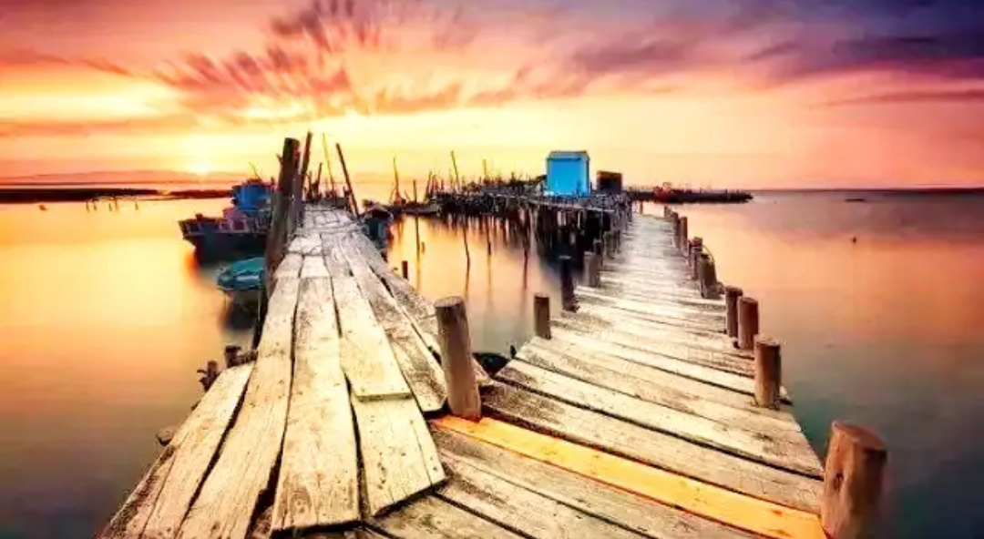 ��Ӱ���ɷ��� �ĳ���ˮ׼���������Ƭ��Ӱ���в�����