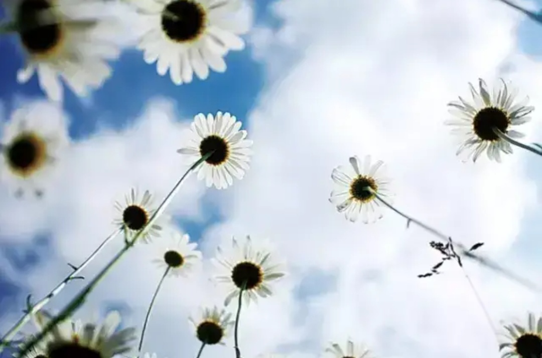 ʵ�õ���Ӱ��ͼ��ʽ������Ҳ�ܳ�Ϊרҵ��Ӱʦ��