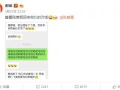 谢娜聊天记录否认封杀传闻