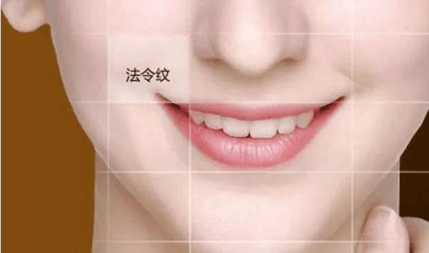 ôרҵȥ廤֪ʶ