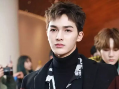 ��������ʽ����