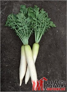 养身必知：19种食物排毒功能最强【组图】