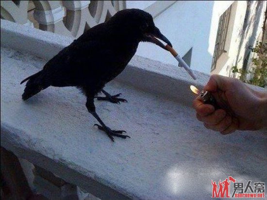 ү