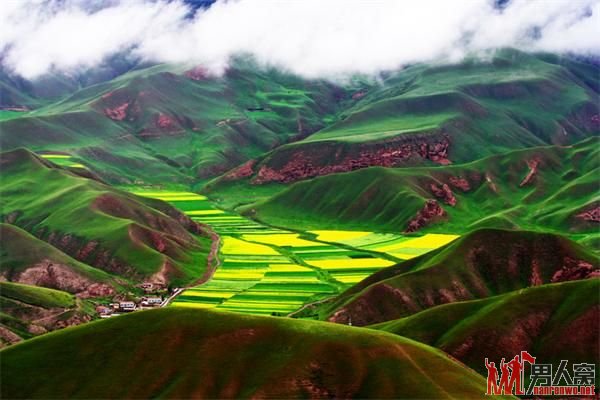 “人间仙境”——青海 美得让人窒息(图)