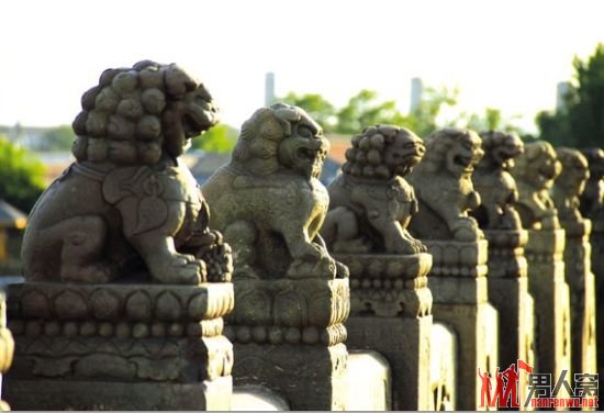 整齐并列的石狮子
