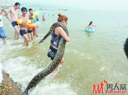 玩莽女海边与蛇共舞 其以蛇生活有11年