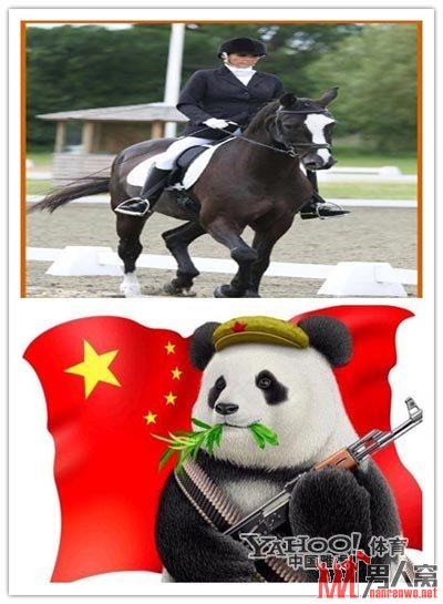 15个奥运会爆笑段子