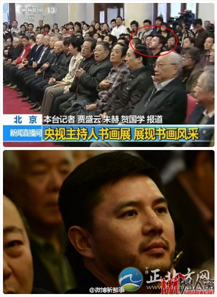 央视主播赵普回归