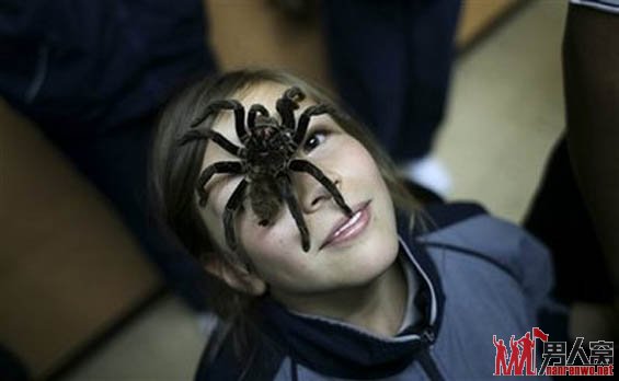 盘点美女与野兽
