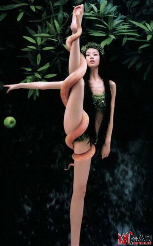 盘点美女与野兽