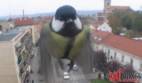 Щ˲ͼ ˲Ŀ