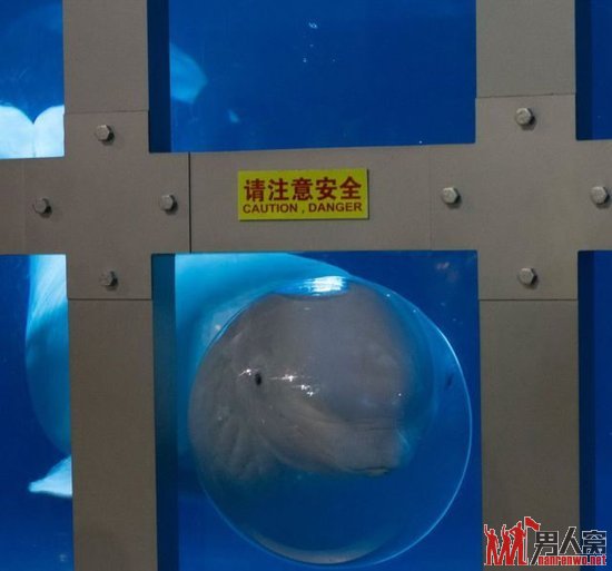 吐个泡泡，表示存在感。