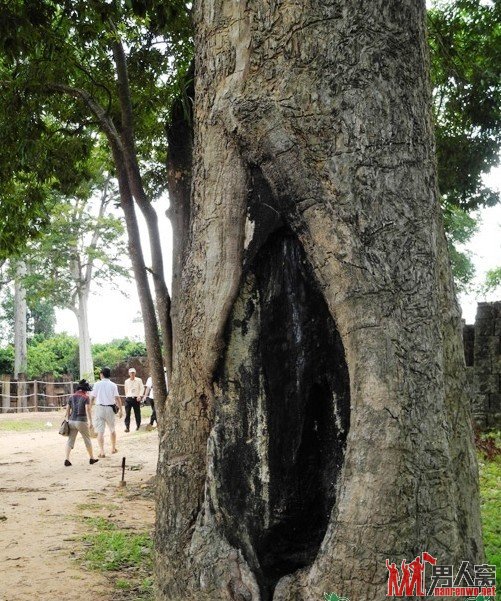 柬埔寨：“吴哥明珠”女王宫