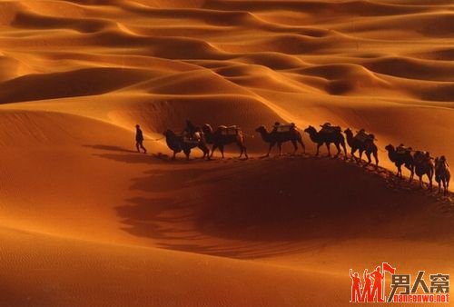 十一旅游好去处 达人教你过个好假期