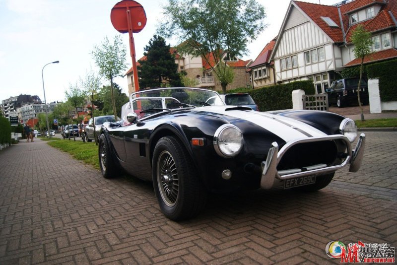 Ա汾ɫĸүAC cobra