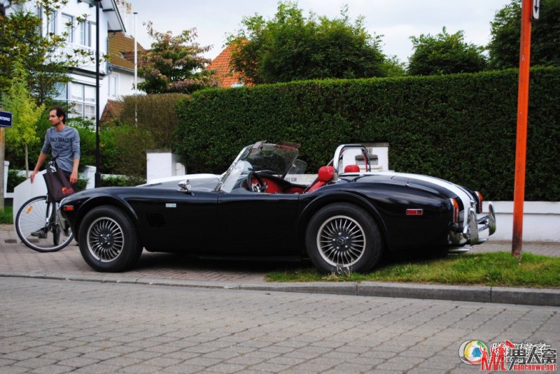 Ա汾ɫĸүAC cobra