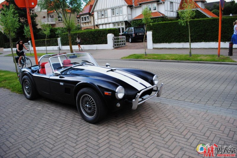 Ա汾ɫĸүAC cobra
