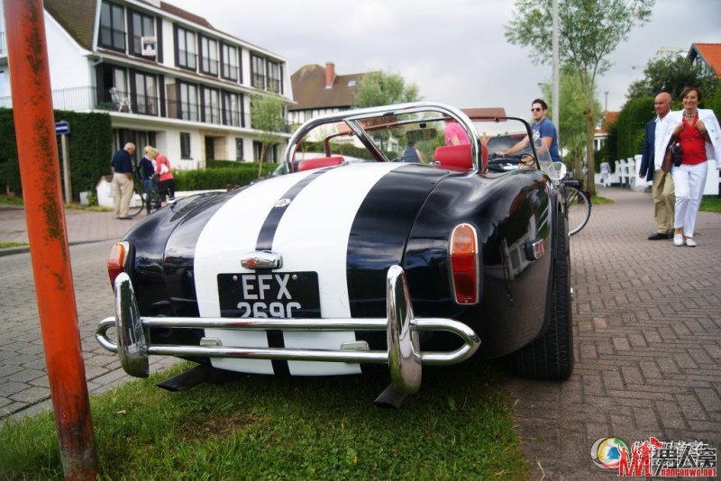 Ա汾ɫĸүAC cobra