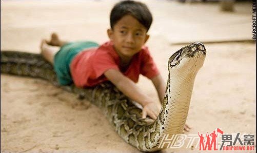 揭秘男孩和巨蟒6年同睡内幕