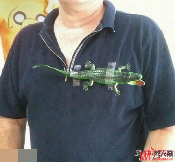 Щǲò