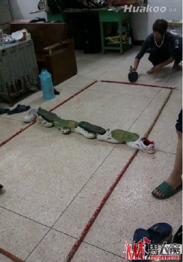  Ȼ׳