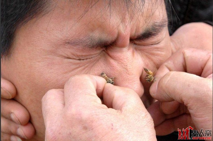 蜂毒疗法中国，治疗过敏性鼻炎