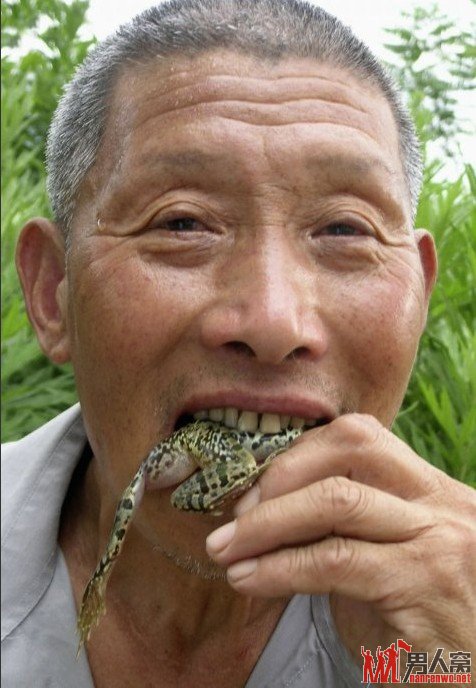 活吃青蛙据说这将有助于腹胃疾病治疗