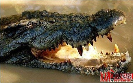 爆那些年发生在飞机上面的极品事件