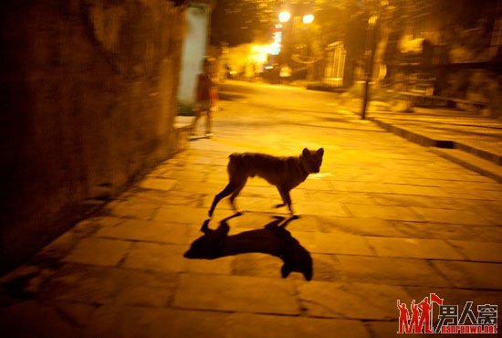 ׷Ѱȥķ ׺佭ϵĹ鱦