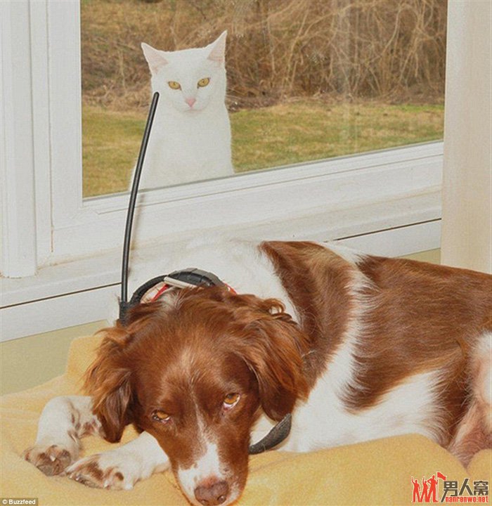 ôĸЦ