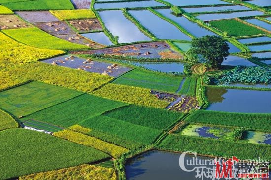 会仙湿地旅游攻略：体验漓江边上的田园山水诗