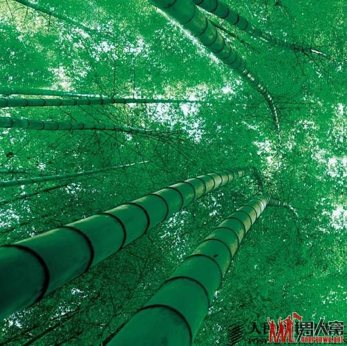宜宾蜀南竹海旅游攻略 体验看不到尽头的绿色海洋