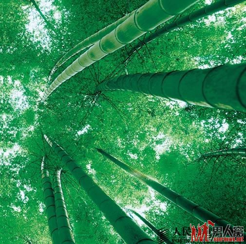 宜宾蜀南竹海旅游攻略 体验看不到尽头的绿色海洋
