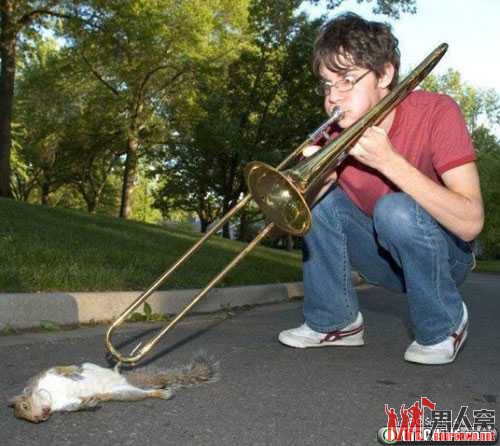 笑死人的愚蠢行为恶搞雷图