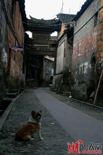 街衢小巷