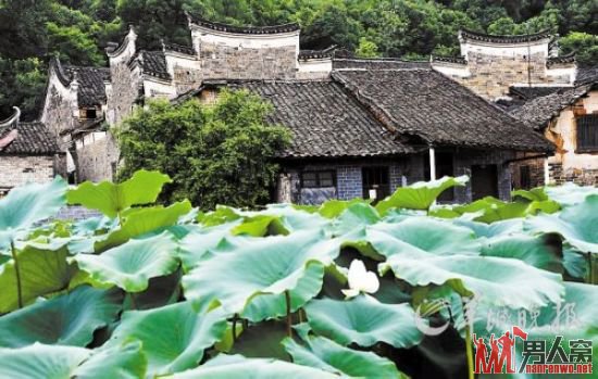板梁村
