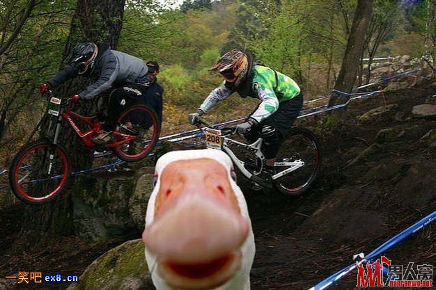 ⾵ͷ̫