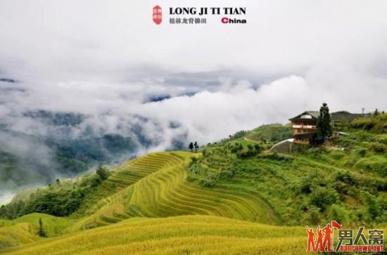 广西龙脊梯田旅游攻略 漫山铺金的秋收盛景
