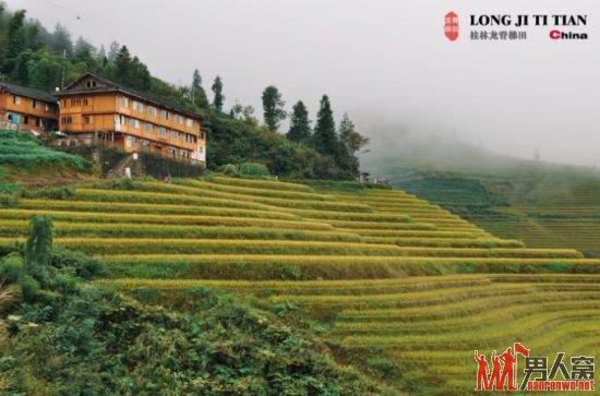 广西龙脊梯田旅游攻略 漫山铺金的秋收盛景