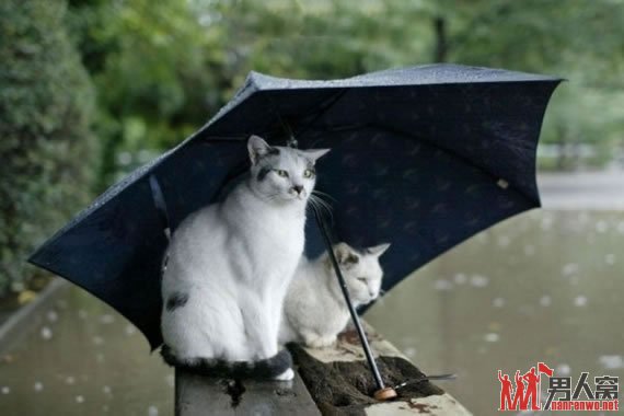 我们一起赏雨吧