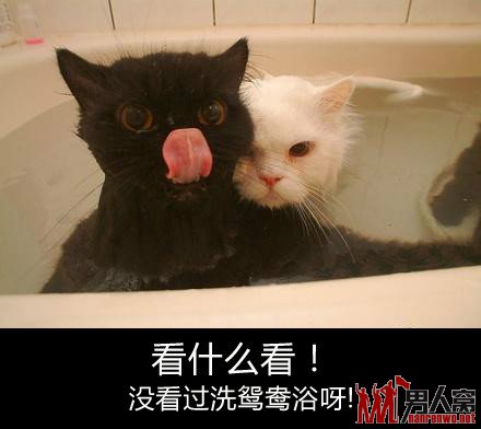 看什么看,没看过洗鸳鸯浴啊