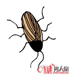 美国男子参加生吃蟑螂比赛 当场暴毙街头